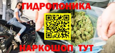 амф Анапа