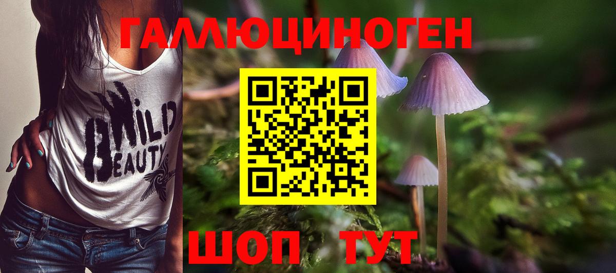 Псилоцибиновые грибы MAGIC MUSHROOMS Красноуфимск