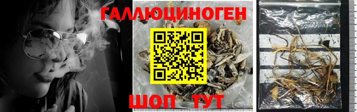 Псилоцибиновые грибы GOLDEN TEACHER  Вход с VPN  Красноуфимск 